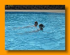 IMG_0540